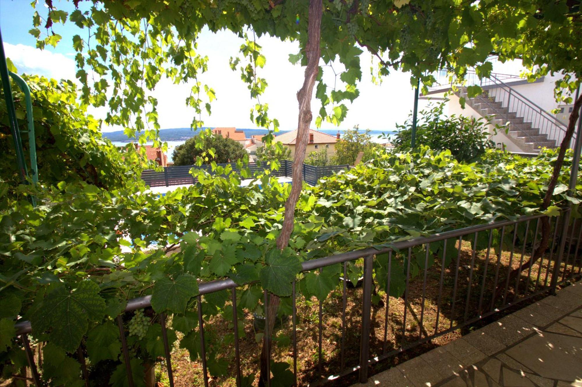Appartement With Pool Tomic Crikvenica